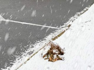 FC DÉGEL – Das leistungsstarke Auftaumittel für sichere Wege im Winter